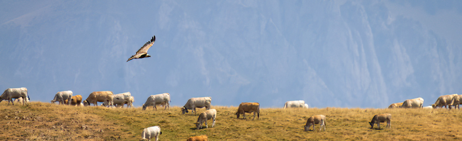 Étape Luchonnaise, des paysages.